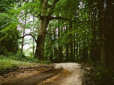 韩剧网官网入口影院-纪录片片段