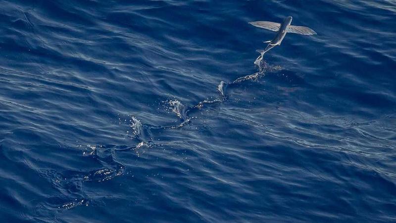 韩剧网官网入口影院-恐怖片高清剧照