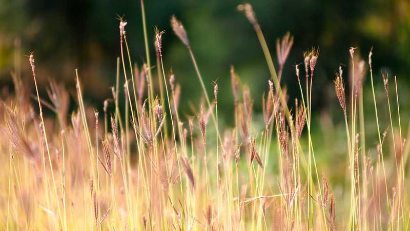 韩剧网官网入口影院-音乐MV片段